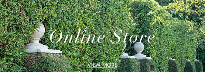 Online Store