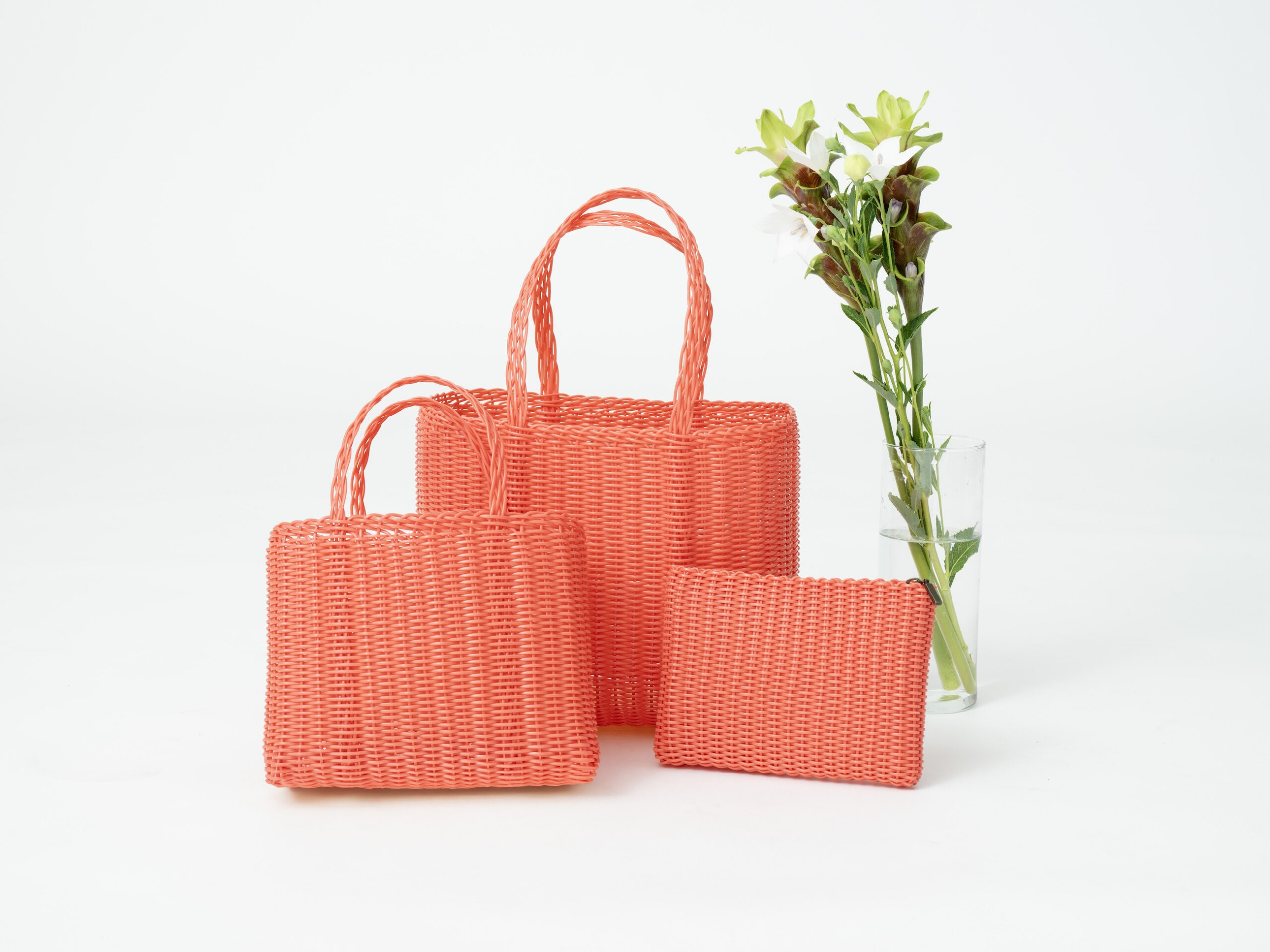 PALOROSA New Arrival