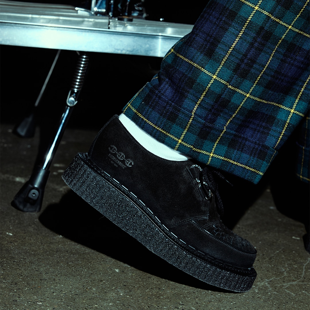 20250929_hoorsenbuhs_BLACKSUEDECREEPER_05