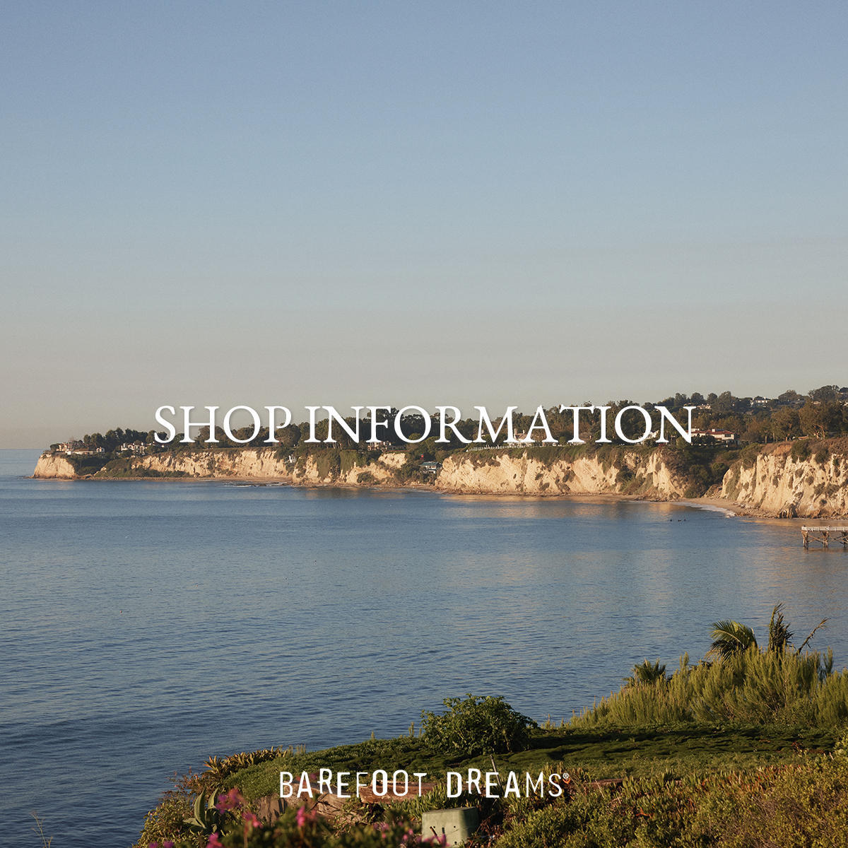 【六本木店】HILLS ポイントキャンペーン_1