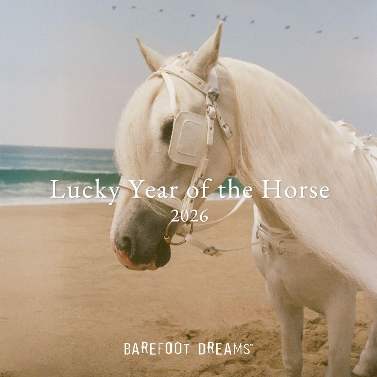 Lucky Year of the Horse