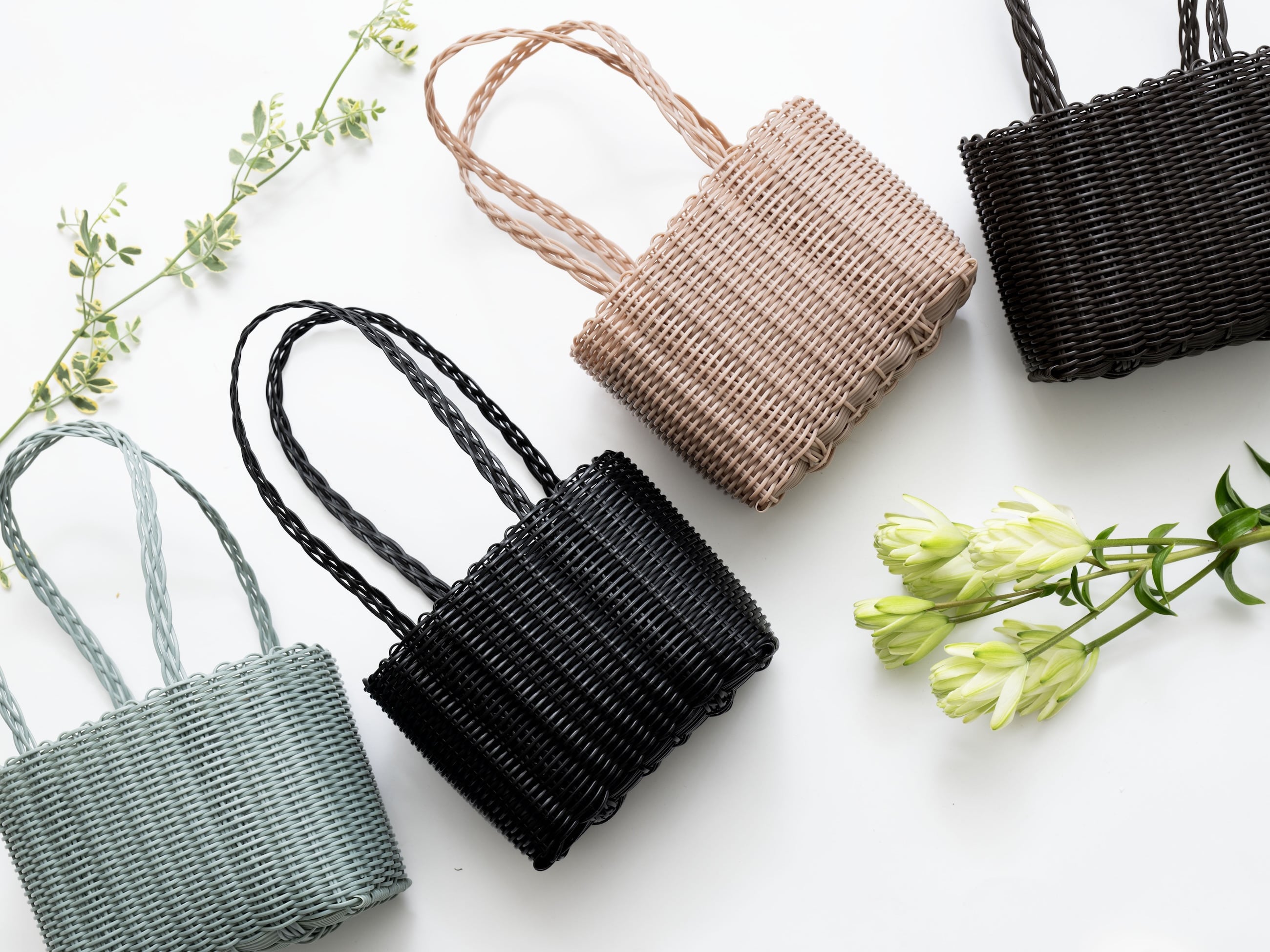 PALOROSA New Arrival