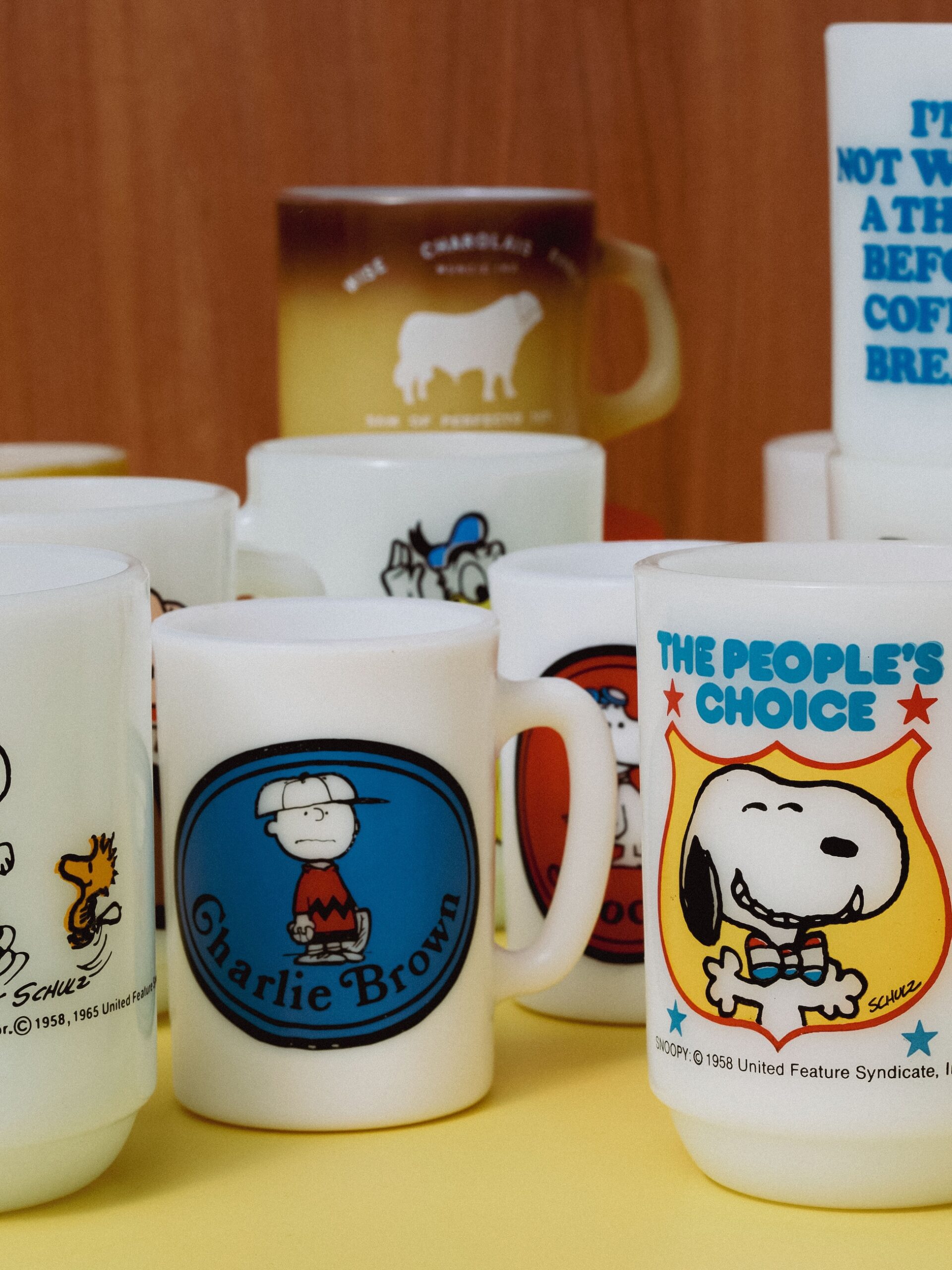 Vintage Mug / Assort