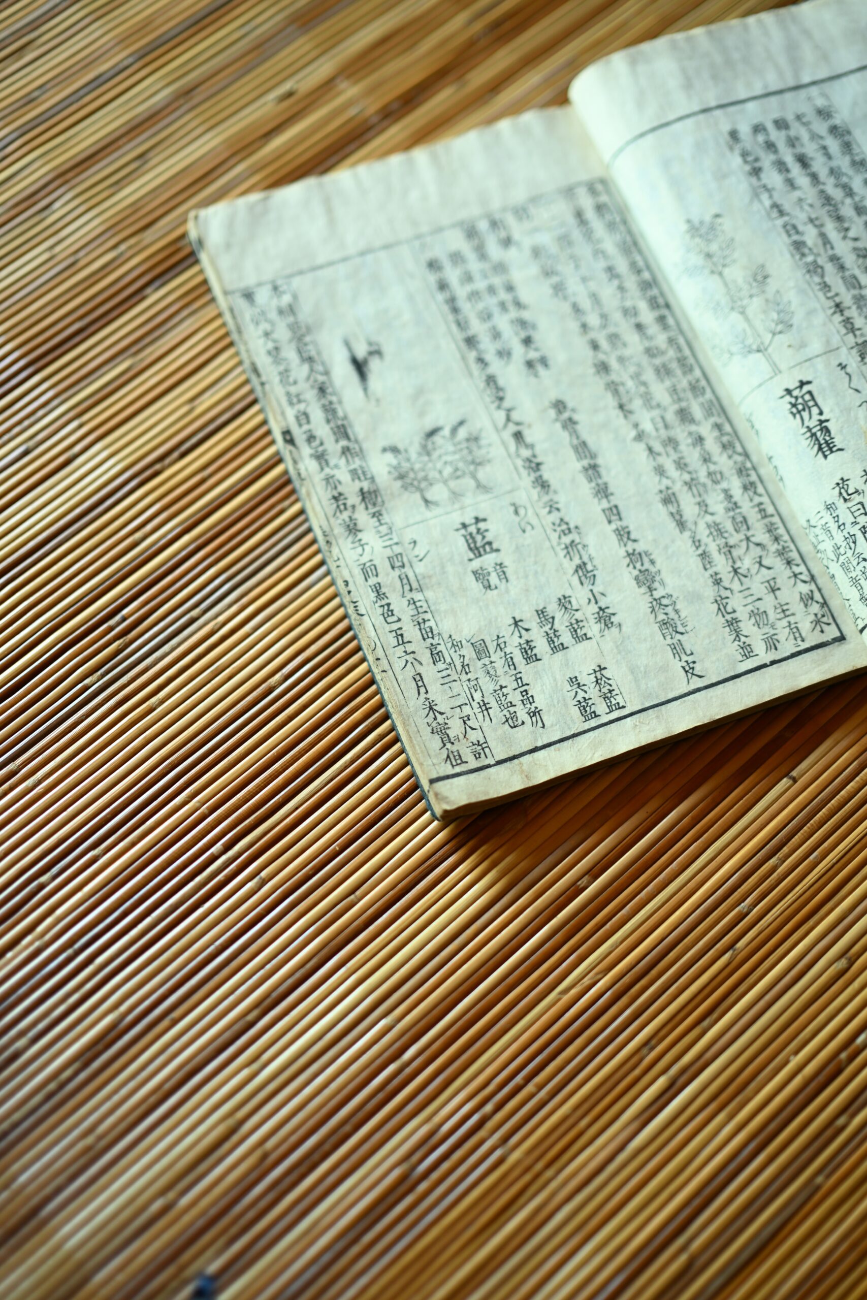 About “京藍” Kyoai_3