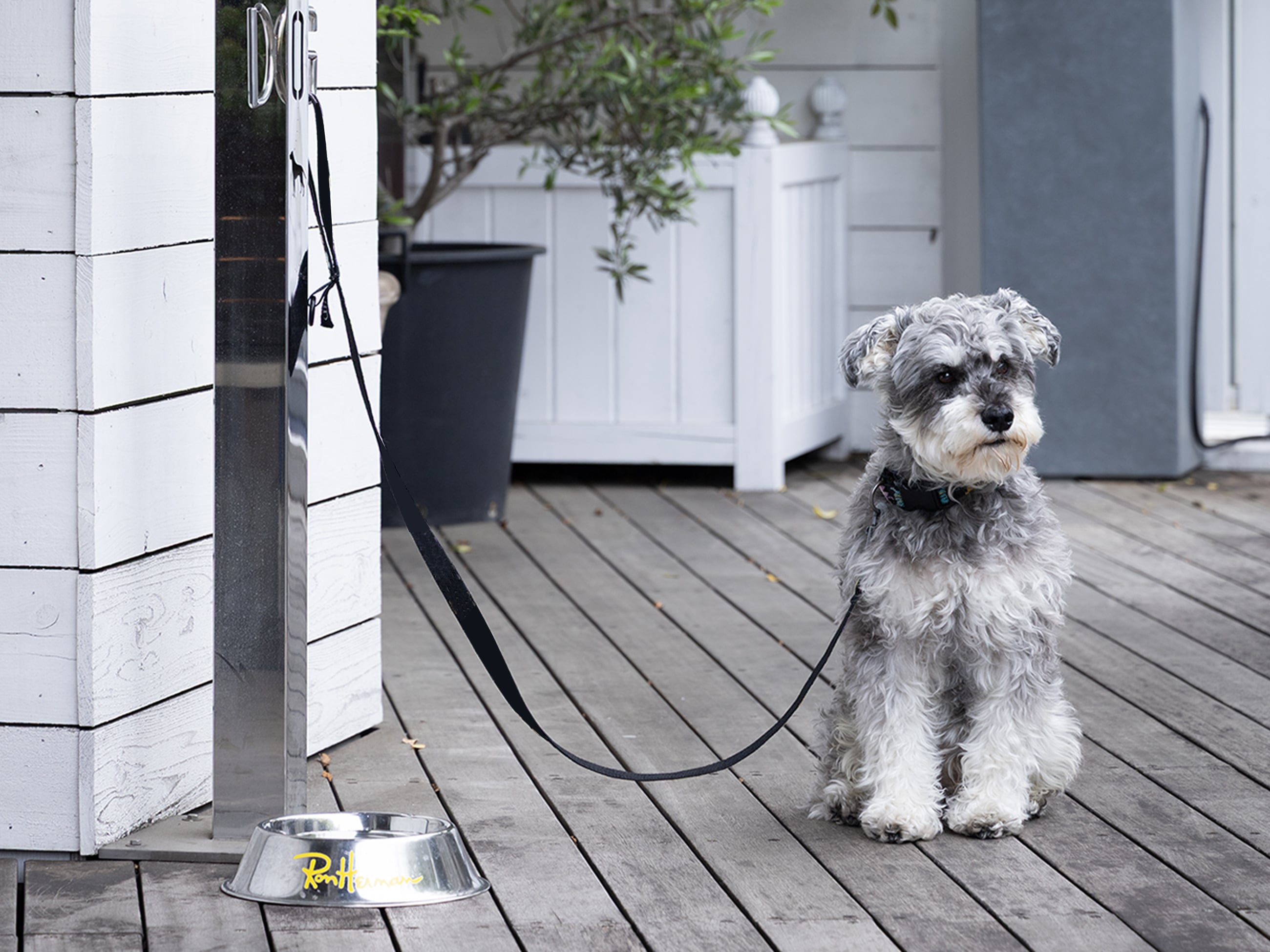 Dog Friendly1