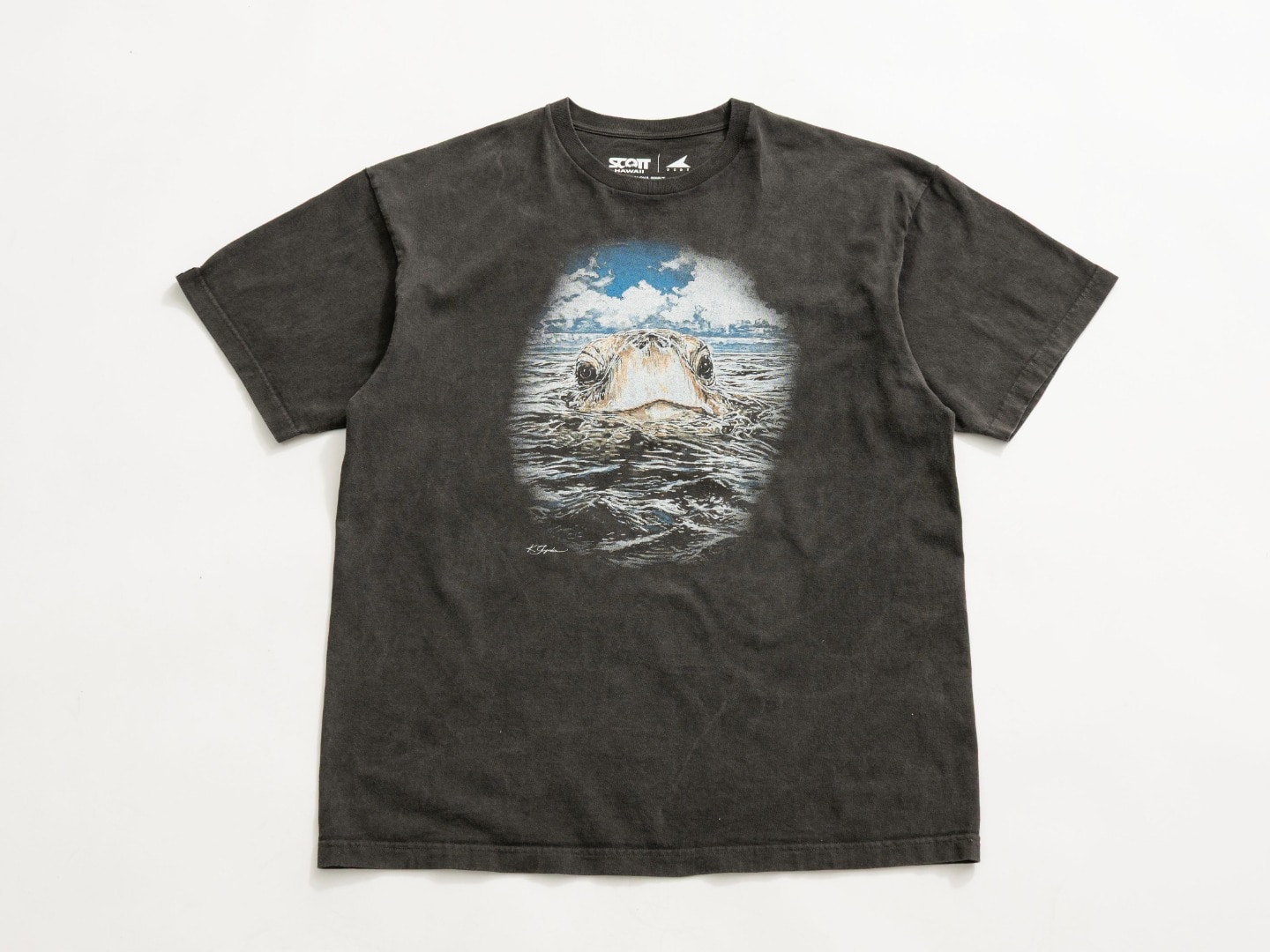 Ｔシャツ
