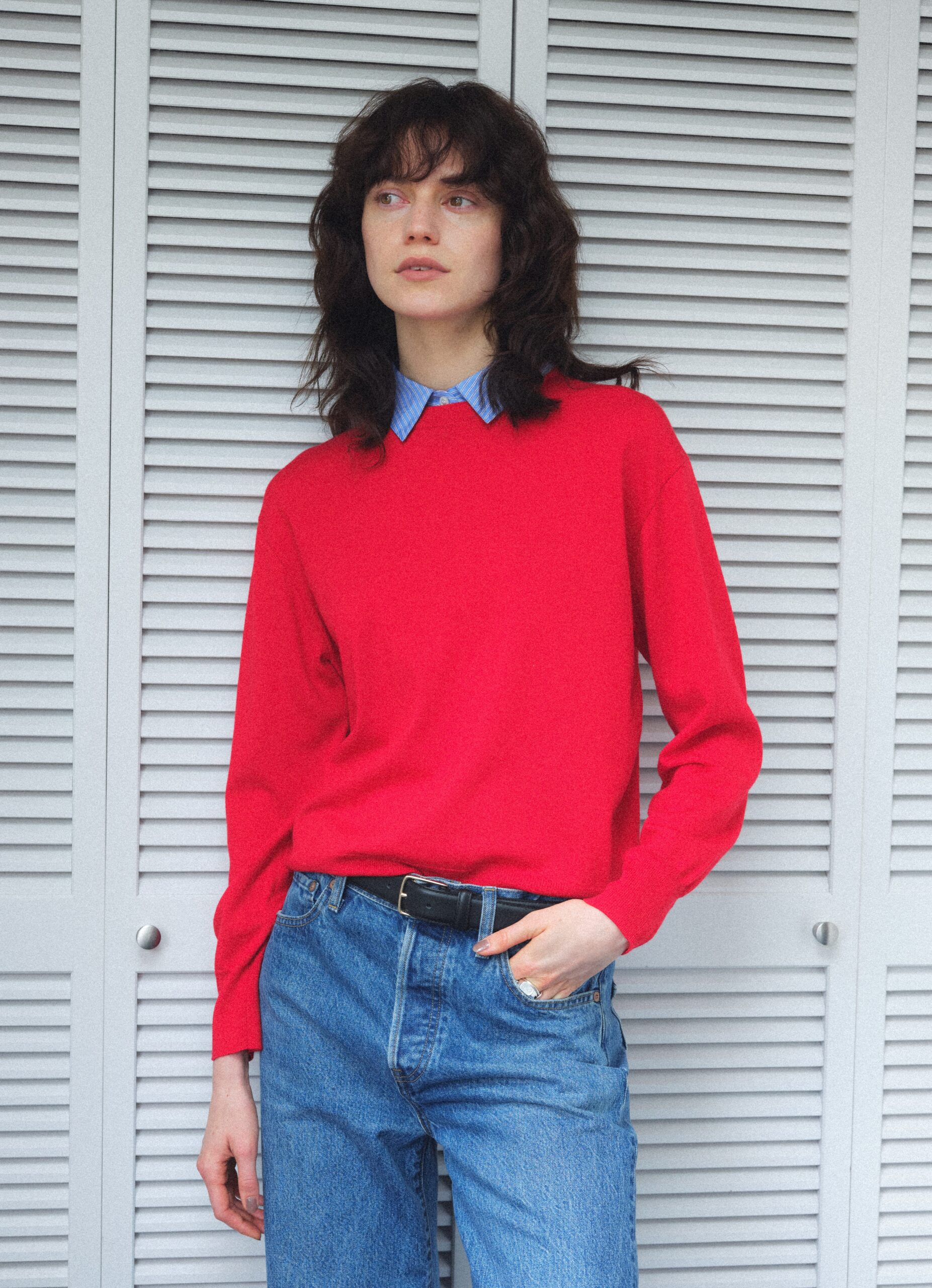 シャツファブリックコンビニット（衿付きニット）red / brown